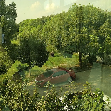 廠(chǎng)區(qū)綠植 廠(chǎng)區(qū)綠植