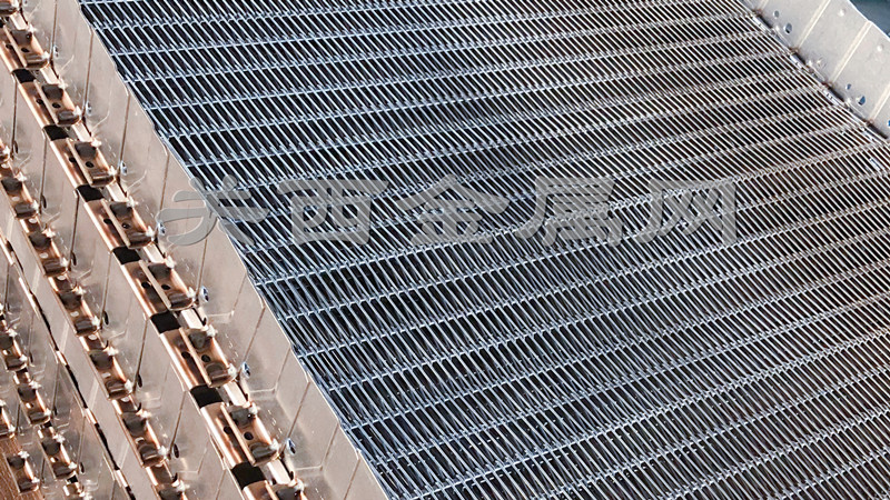 冷凍網(wǎng)帶 冷凍網(wǎng)帶