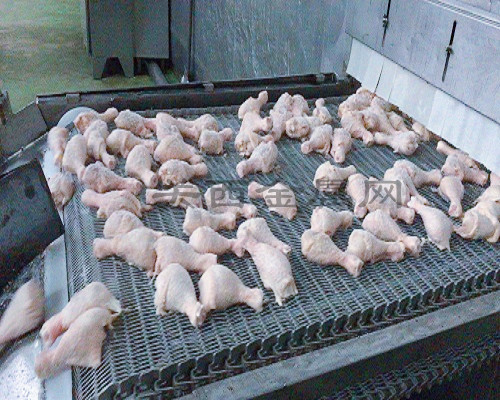 速凍輸送帶 速凍輸送帶